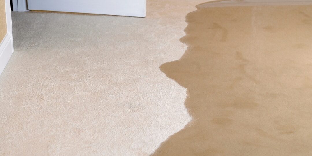 blog 2 Backflow Prevention and Testing Plumber Lakewood CO